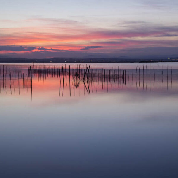 albufera-valencia