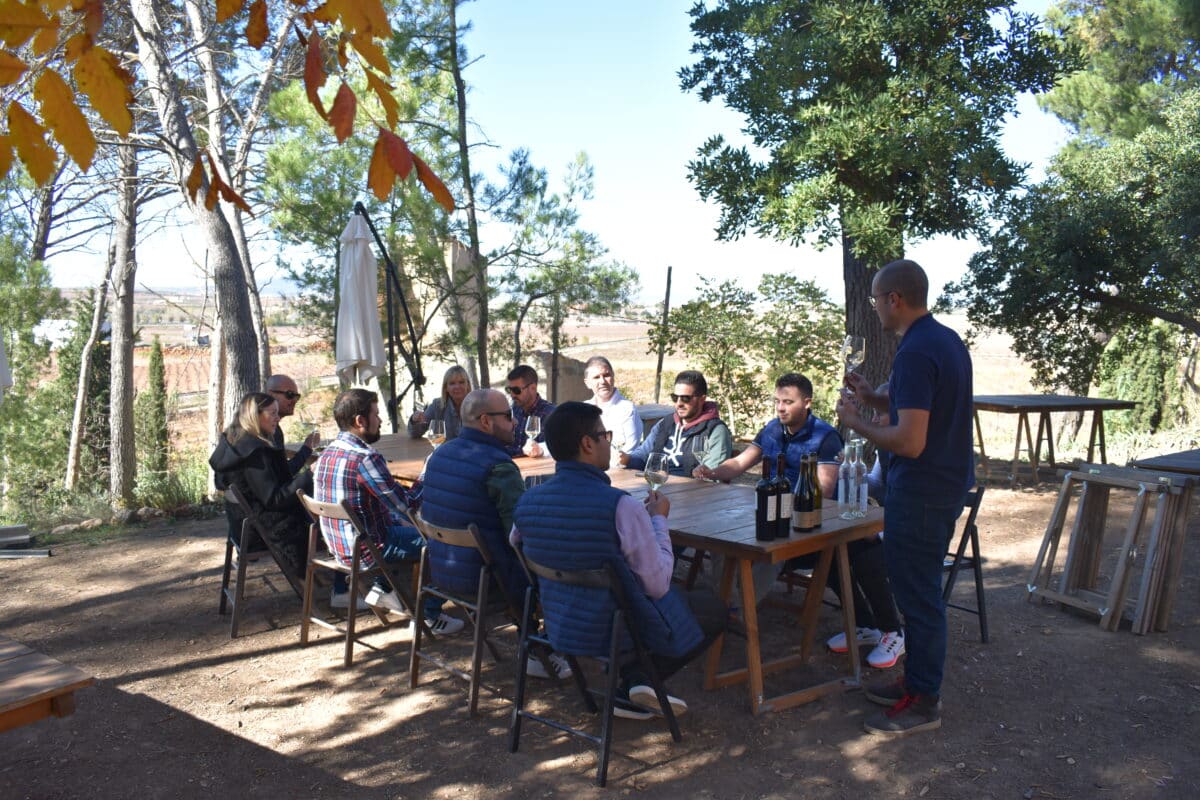 bodega-vera-de-estenas