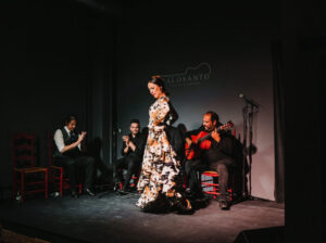espectaculo de flamenco