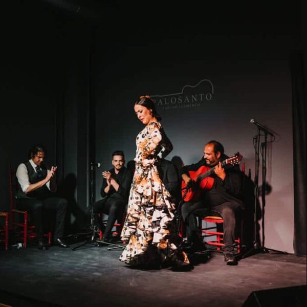 espectaculo de flamenco