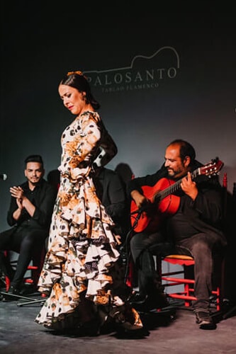 flamenco-inicio-02