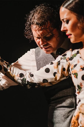flamenco-inicio