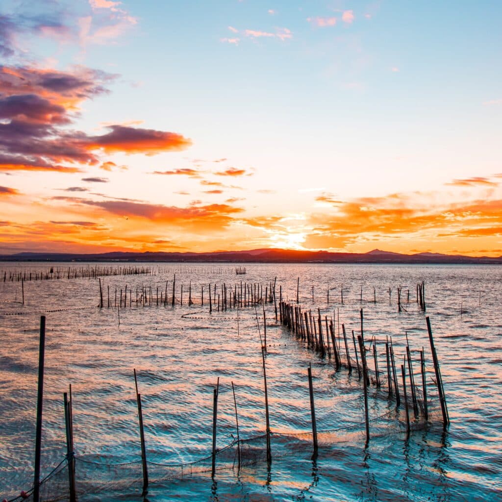 albufera-natural-park