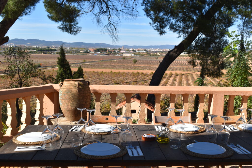 bodega vera de estenas