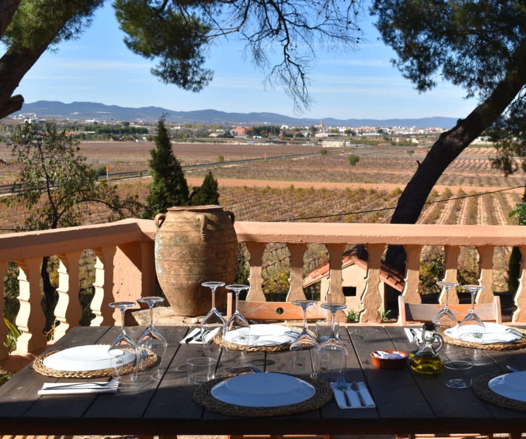 bodega vera de estenas