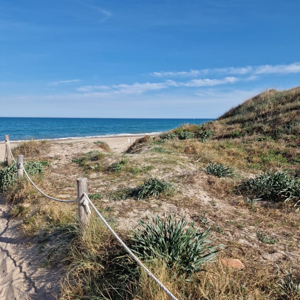 Playa del Saler