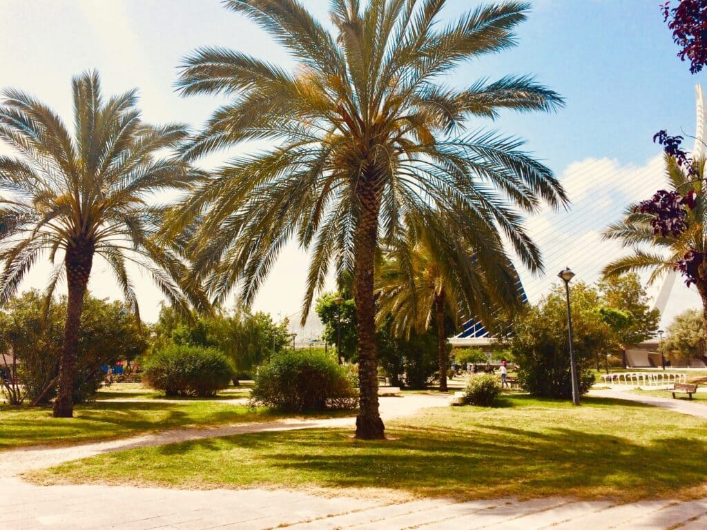 valencia's turia riverbed that was turned into park
