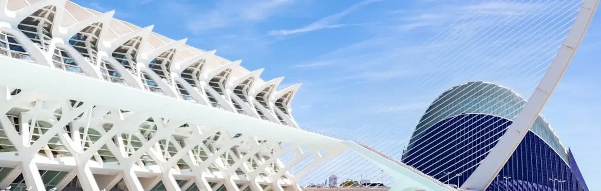 img-museo-bellas-artes-valencia-01