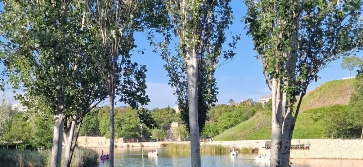 img-parque-cabecera-02