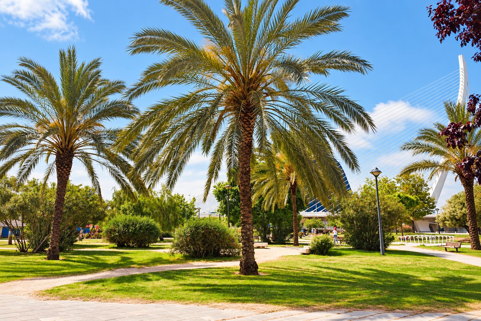El Jardín del Turia,considerado el pulmón verde de Valencia