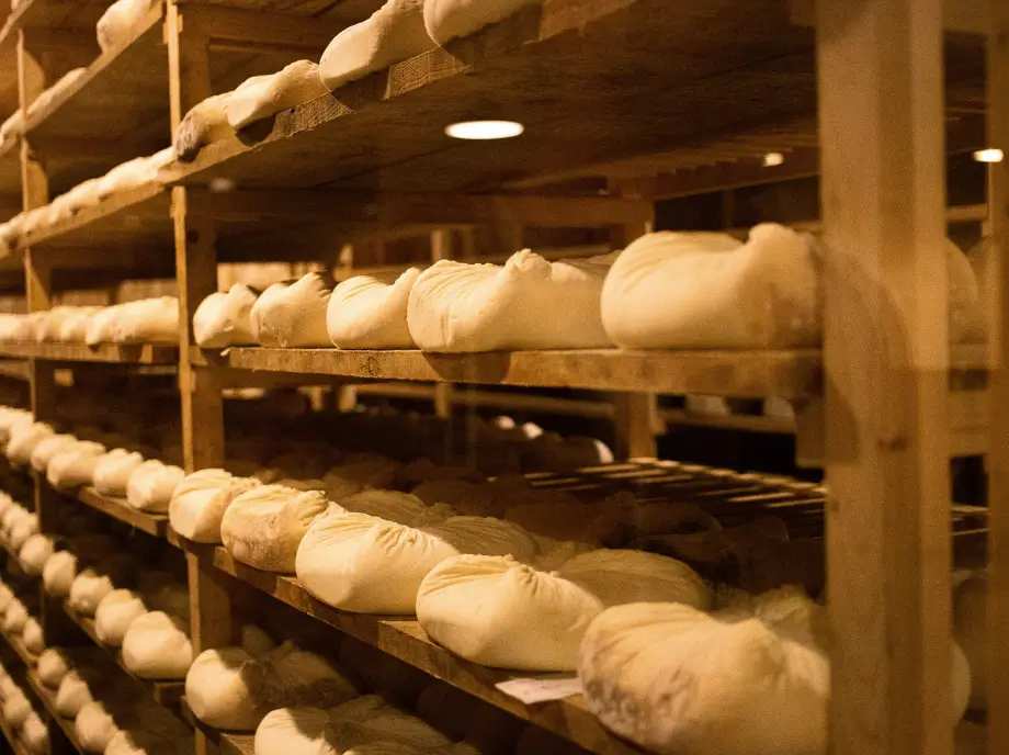 Interior of a cheese cellar in Utiel-Requena