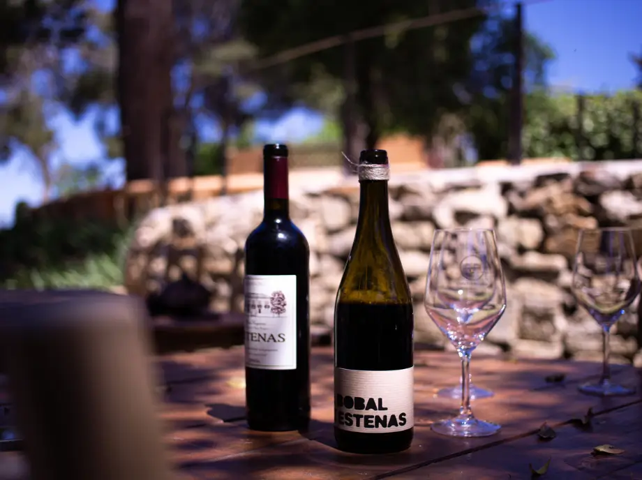 Bottles of wine ready for tasting in Utiel-Requena