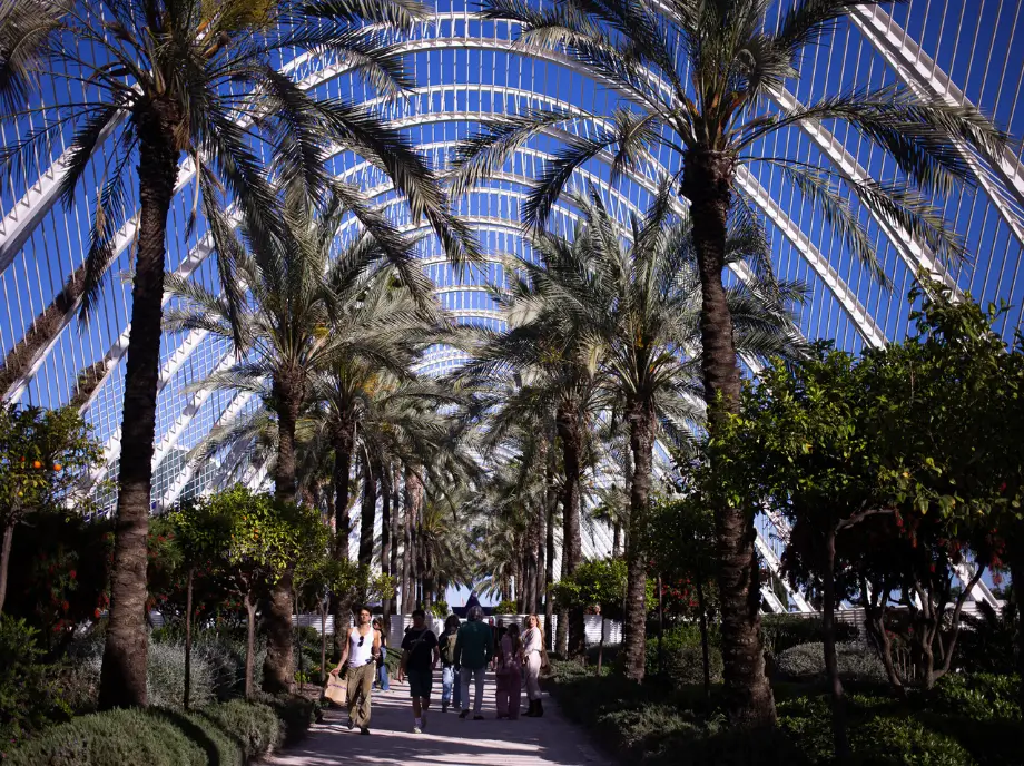 Jardín Umbracle en Ciudad de las Artes y las Ciencias Valencia