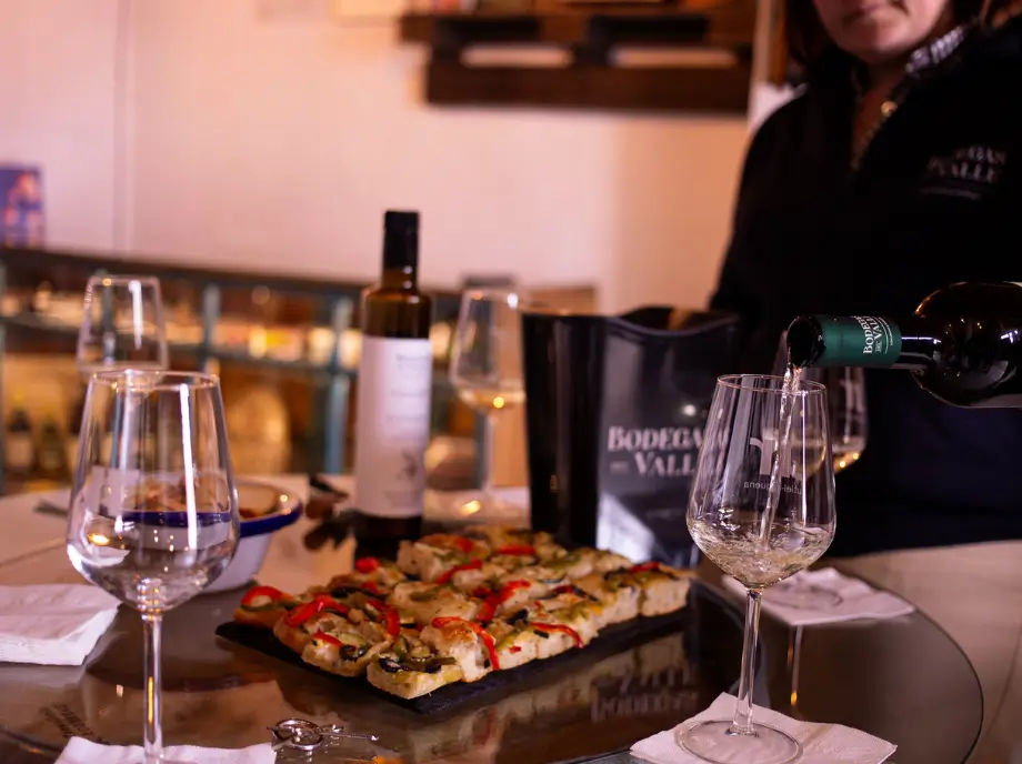 Wine tasting during cheese tasting in Utiel