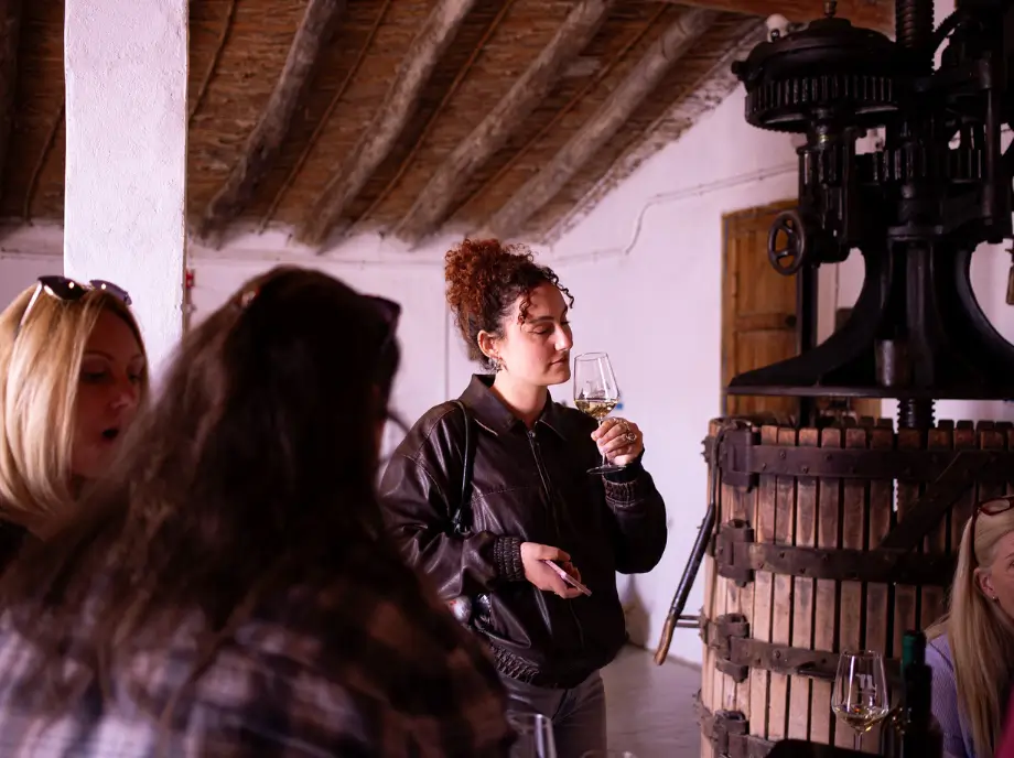 Guided cheese and wine tasting and tasting in Utiel-Requena