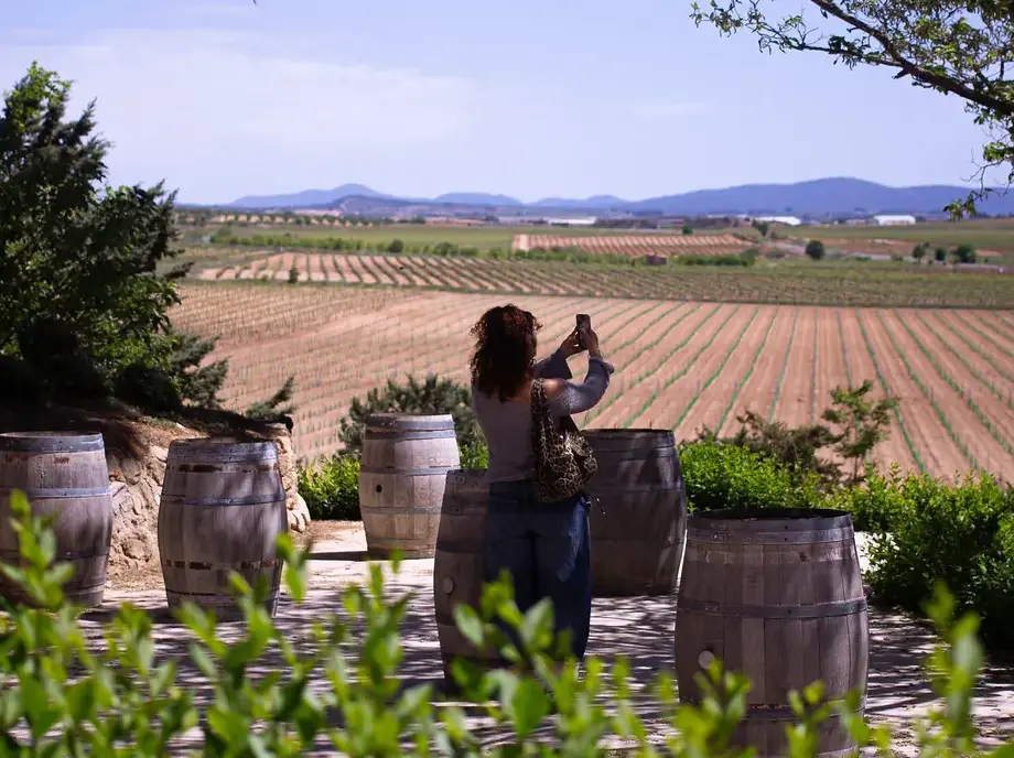 Vineyards at sunset in the region of Utiel-Requena