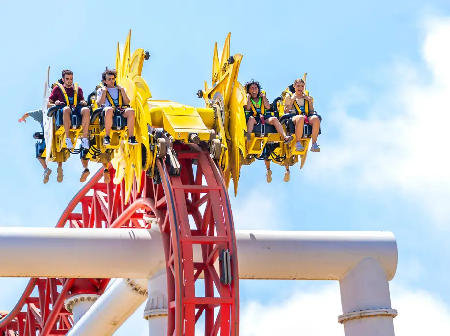 Montaña rusa de Terra Mítica en Benidorm con visitantes disfrutando una subida llena de emoción.