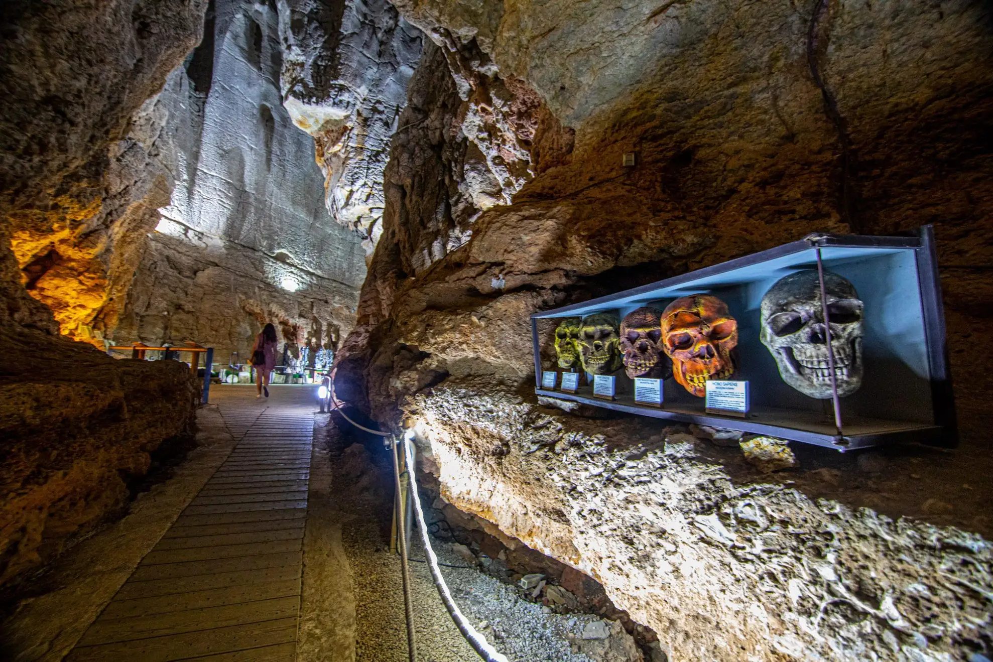 Cráneos prehistóricos expuestos en la Cueva de las Calaveras