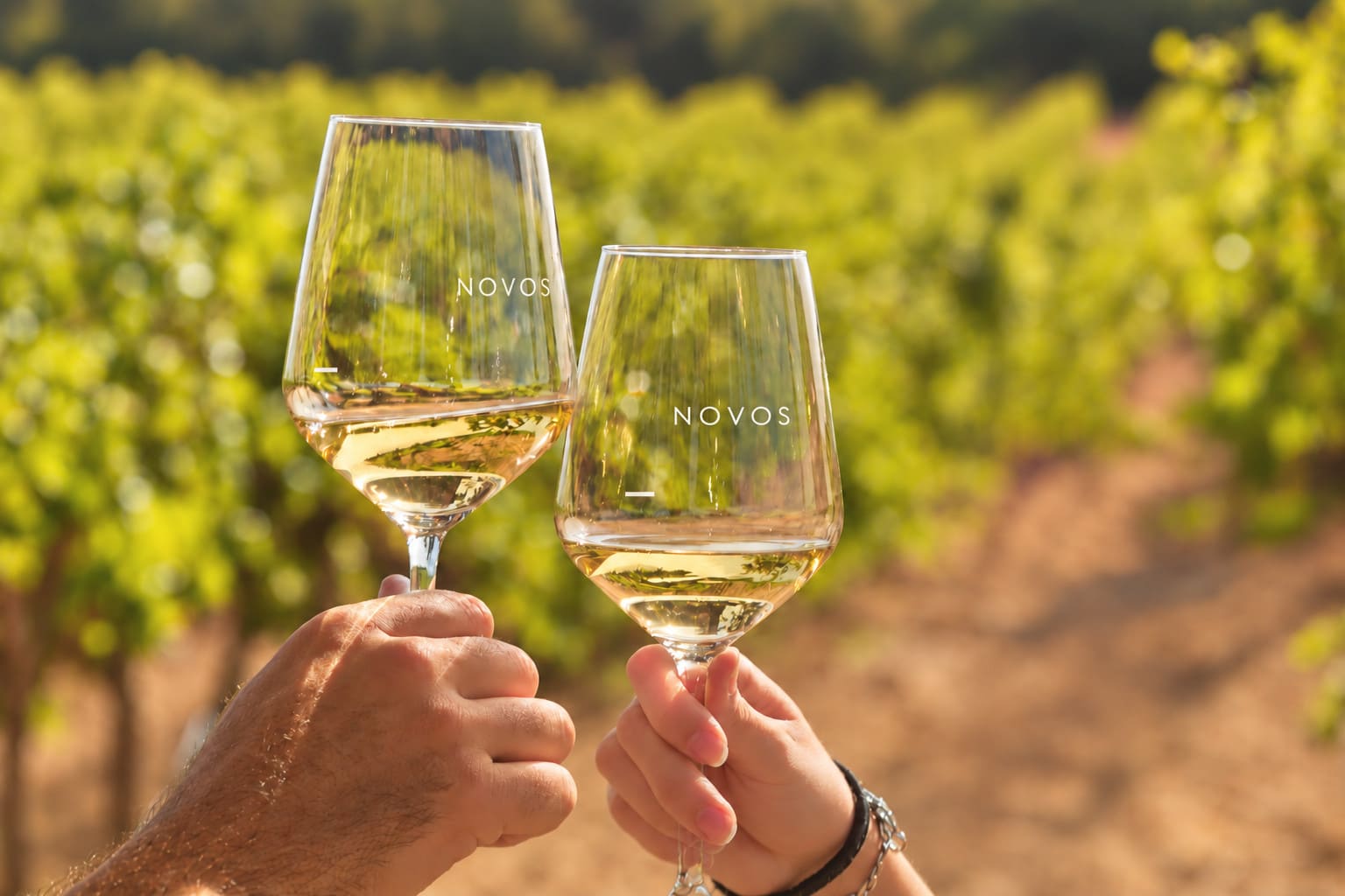 A toast with white wine at the NOVOS wineries in Utiel-Requena