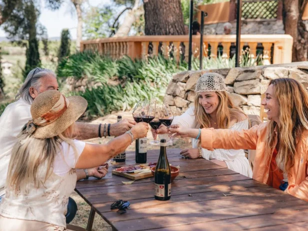 Grupo de amigos brindando con vino tinto en una cata al aire libre en Requena.