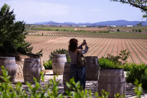 Viñedos al atardecer en la región de Utiel-Requena