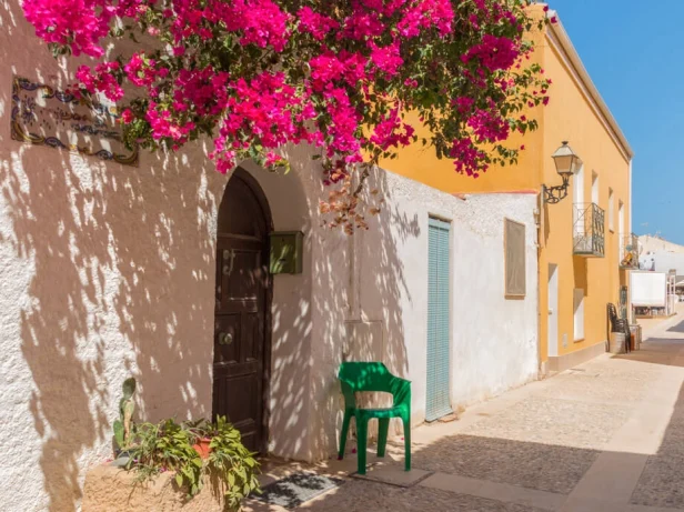 Excursion to Tabarca Island