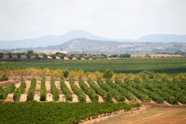 img-blog-excursiones-valencia-otono