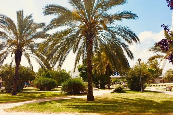 img-blog-planes-gratis-valencia