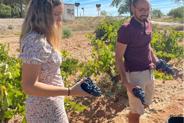 Viñedos de Utiel-Requena en otoño, la tierra del vino valenciano