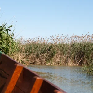 Excursion to the Albufera Nature Park