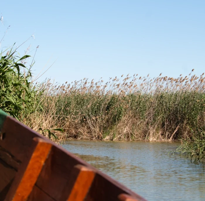 Excursion to the Albufera Nature Park