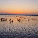 natural-park-albufera_10