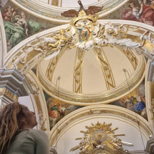 Valencia in full cruise special: Art and architecture tour with entrance tickets