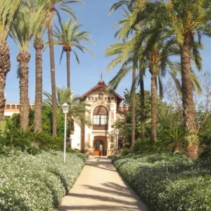 Excursion to the Orange Orchard