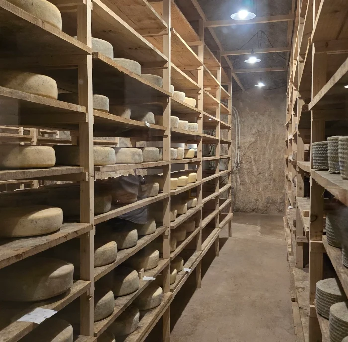 Experiencia en Quesería: Cata de quesos y vinos en Utiel-Requena – IT