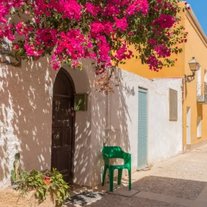 Excursion to the island of Tabarca